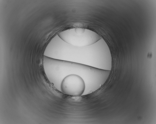 X0000114140478200910081030