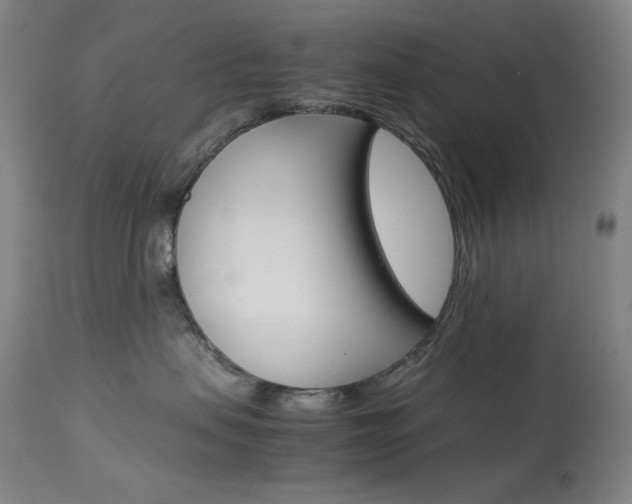 X0000114140479200910081030