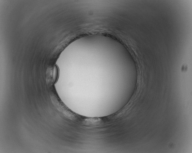 X0000114140480200910081030