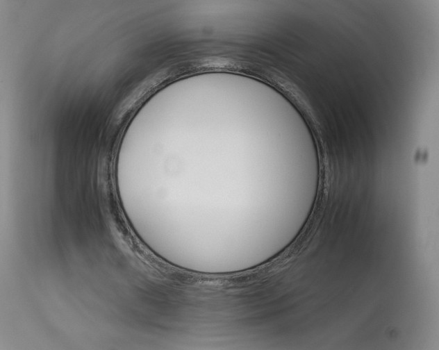 X0000114140482200910081029