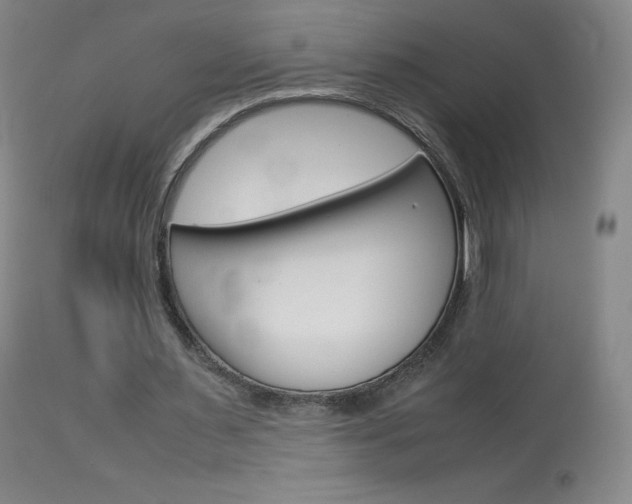 X0000114140483200910081029