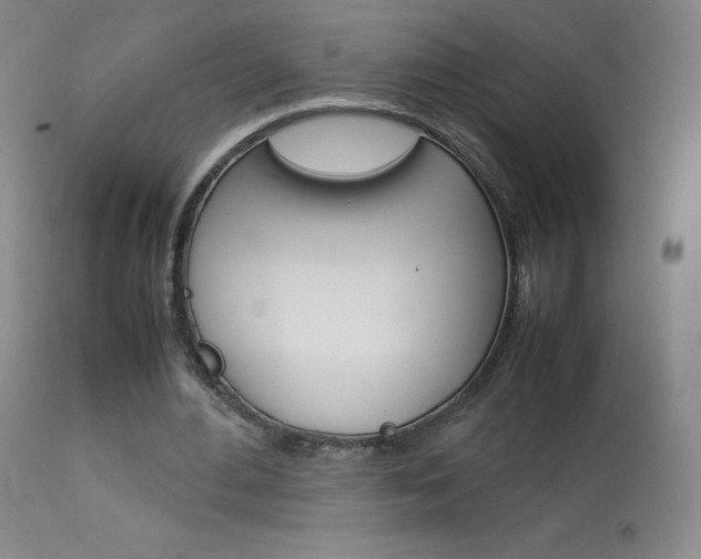 X0000114140484200910081029