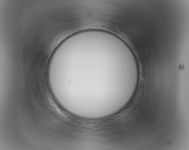 X0000114140485200910081029