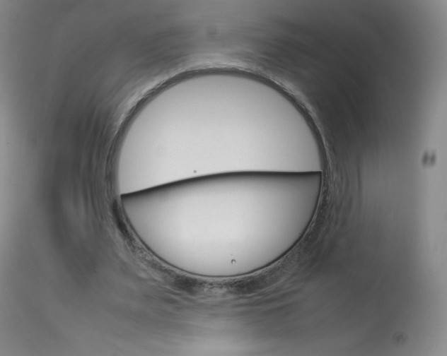 X0000114140487200910081029