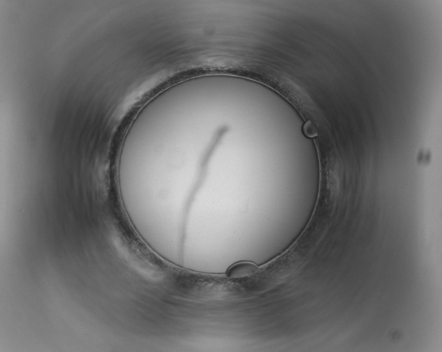 X0000114140488200910081029