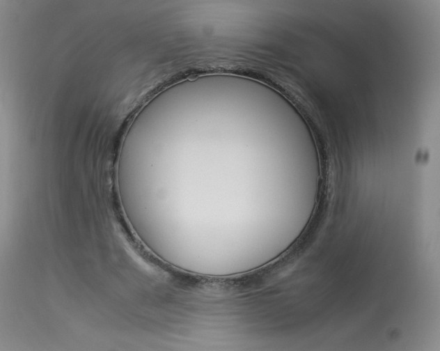 X0000114140489200910081029