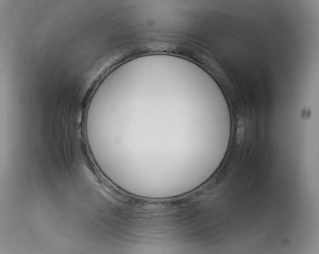 X0000114140490200910081029