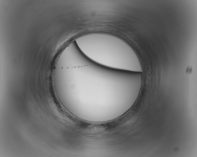 X0000114140491200910081029