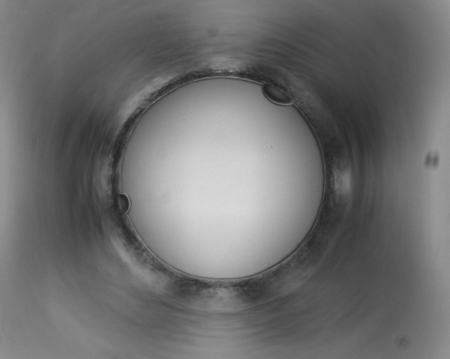 X0000114140492200910081029