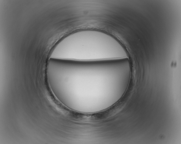 X0000114140493200910081029