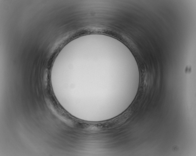 X0000114140494200910081029