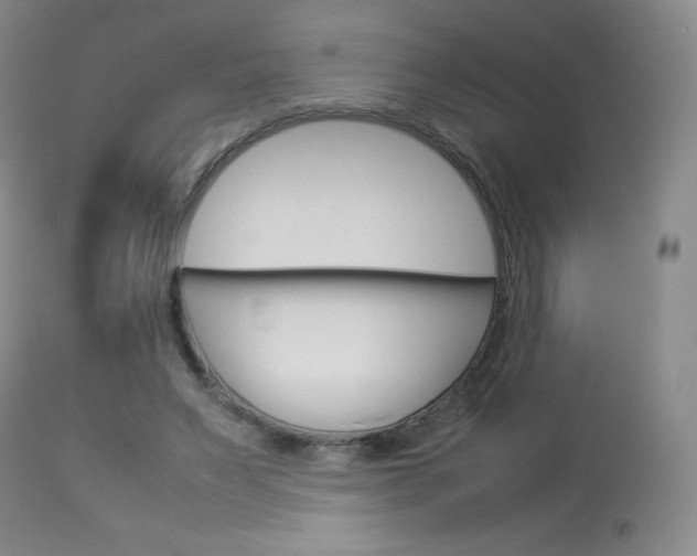 X0000114140495200910081029