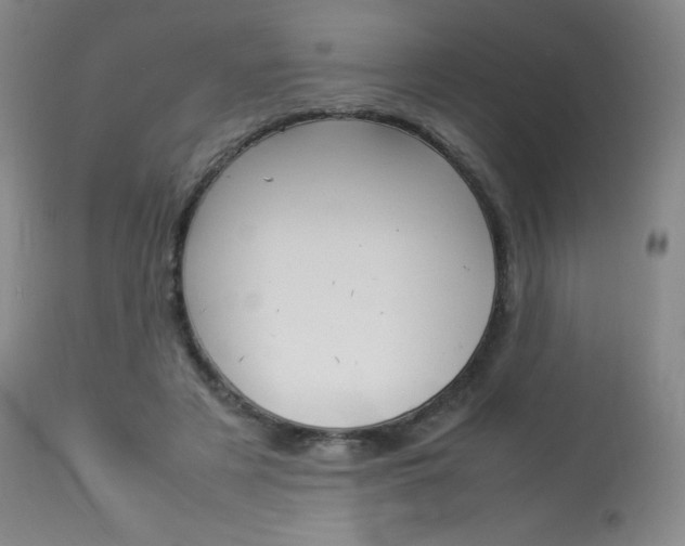 X0000114140497200910081029