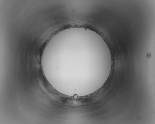 X0000114140498200910081029