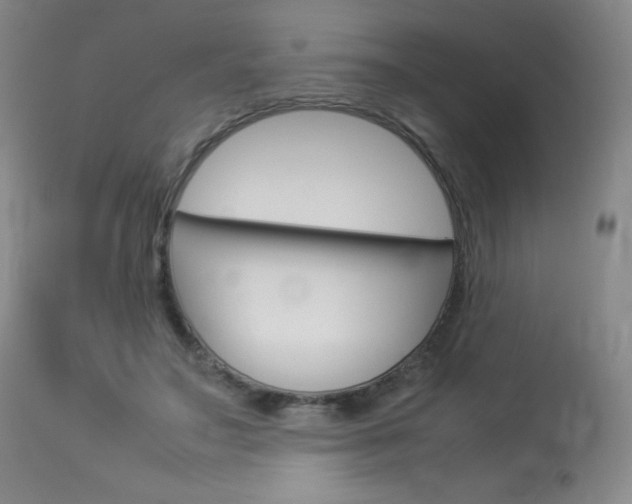 X0000114140499200910081029