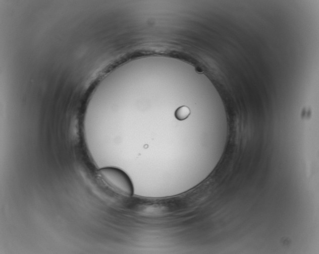 X0000114140500200910081029