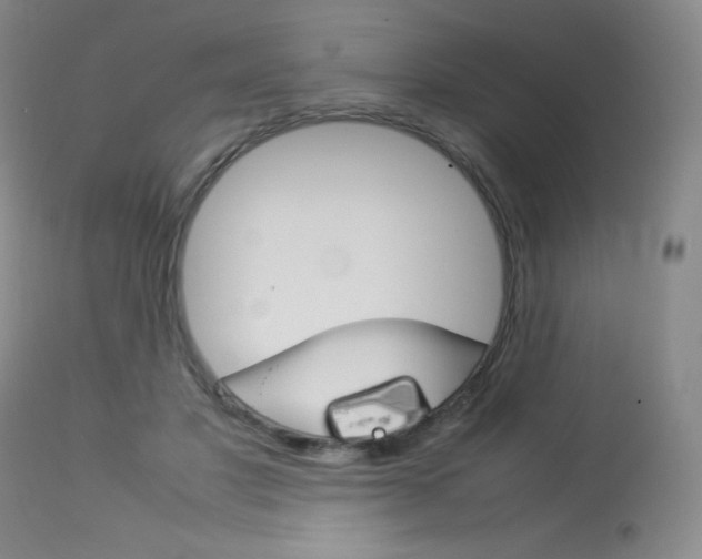 X0000114140501200910081029