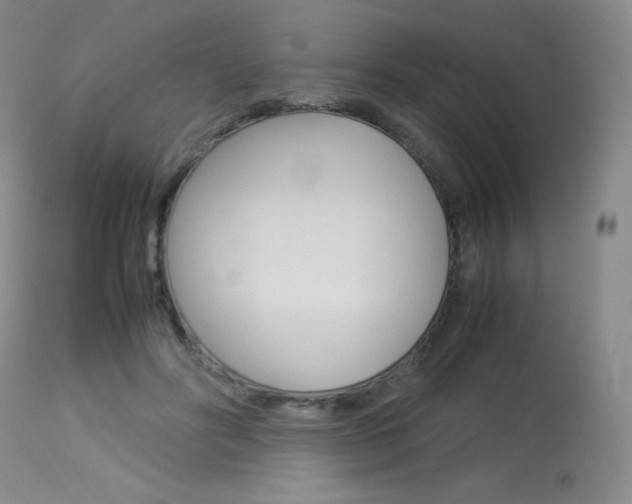 X0000114140502200910081029