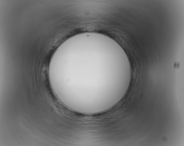 X0000114140503200910081029