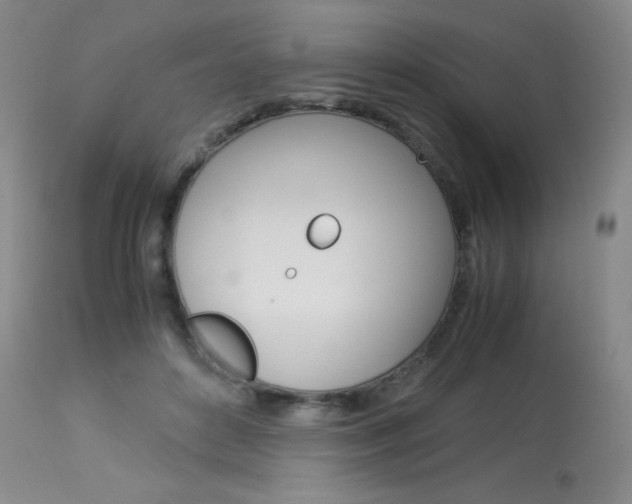 X0000114140504200910081029