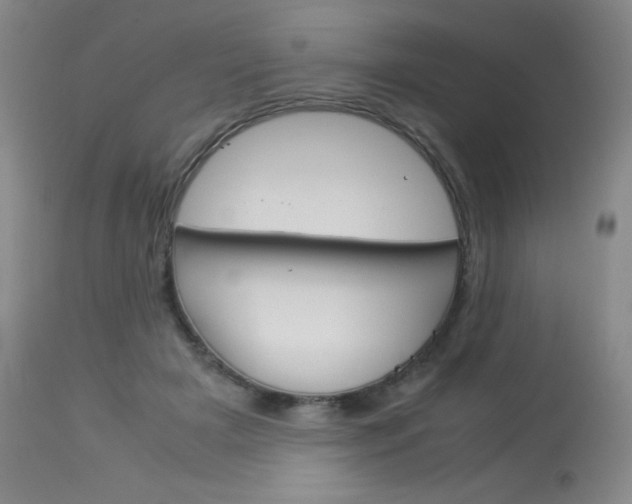 X0000114140505200910081029