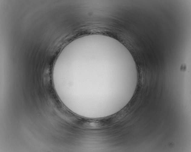 X0000114140506200910081029