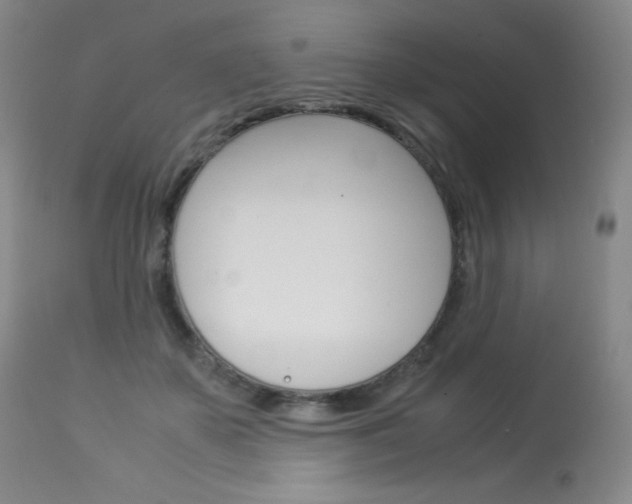 X0000114140507200910081029