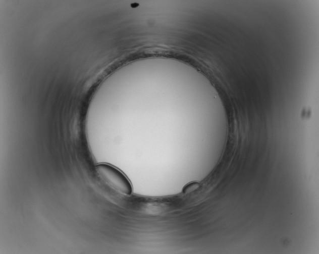 X0000114140508200910081029