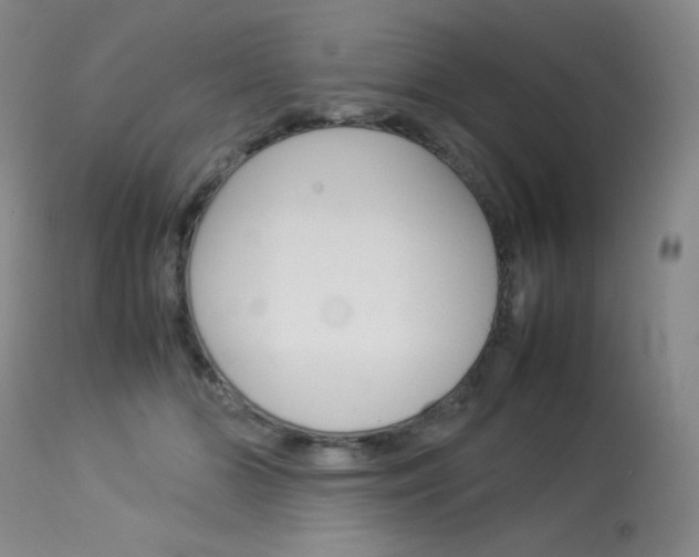 X0000114140510200910081029