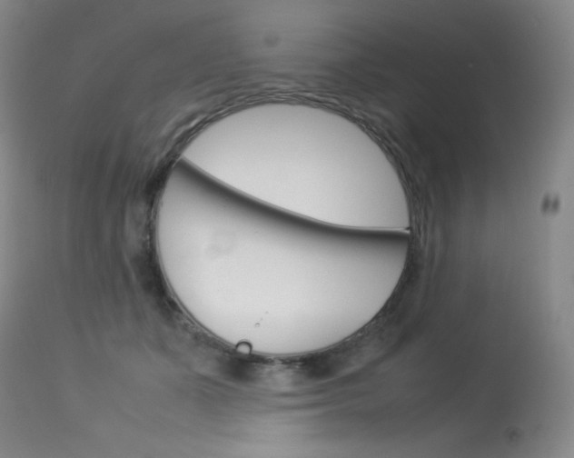 X0000114140511200910081029