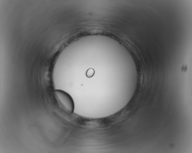 X0000114140516200910081029