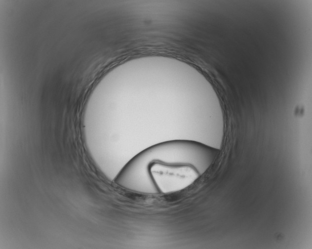 X0000114140517200910081029