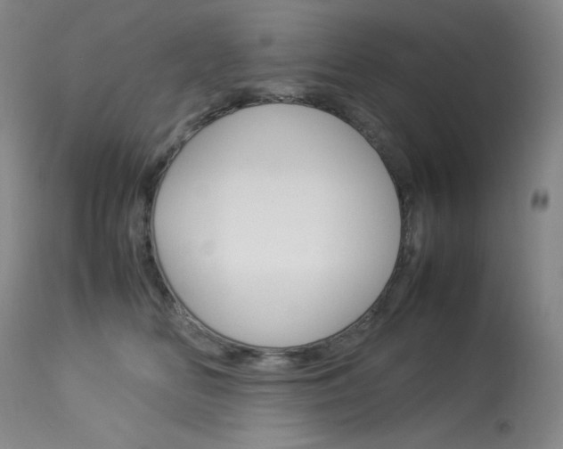 X0000114140518200910081029