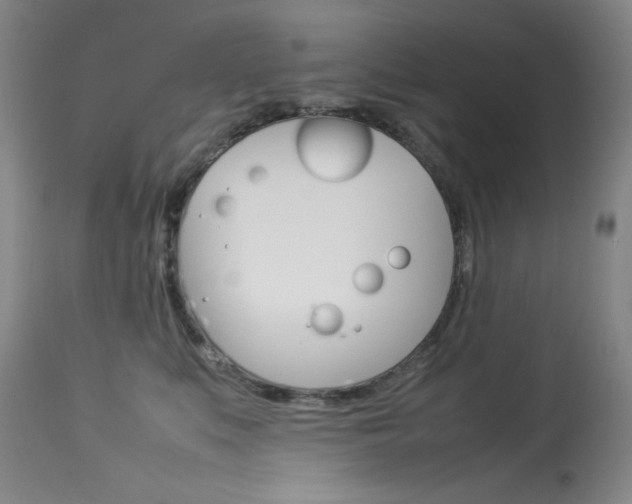 X0000114140519200910081029