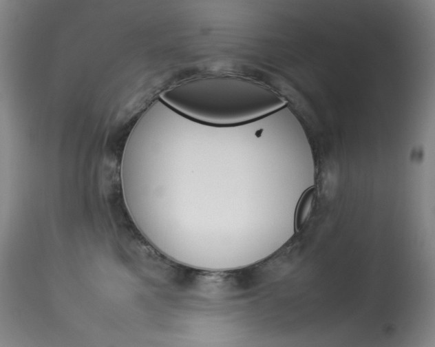 X0000114140521200910081029