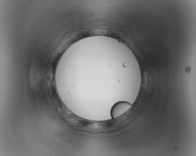 X0000114140522200910081029