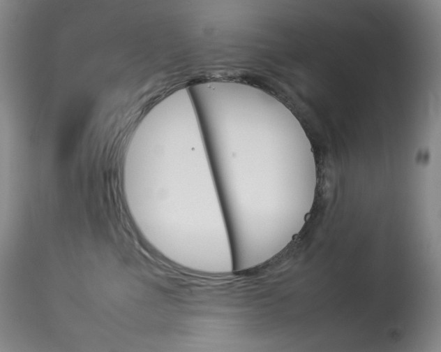 X0000114140523200910081029