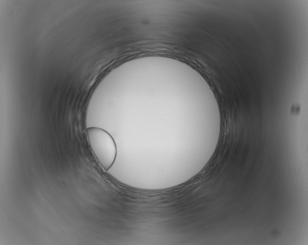 X0000114140524200910081029