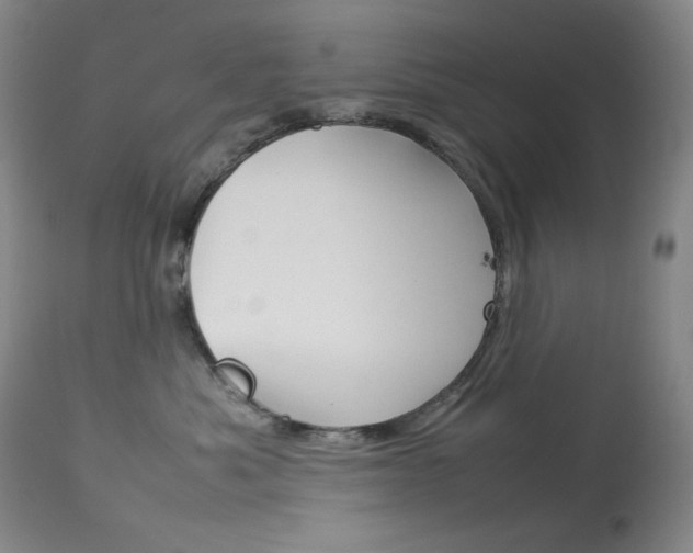 X0000114140525200910081029