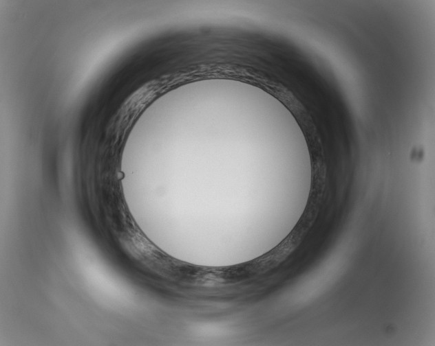 X0000114140526200910081029