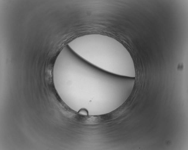 X0000114140527200910081029