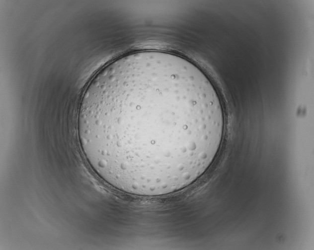 X0000114140529200910081028