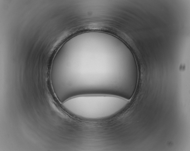 X0000114140530200910081028