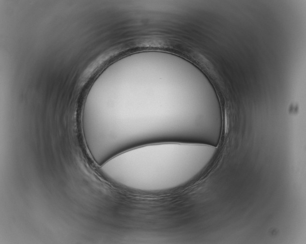X0000114140531200910081028