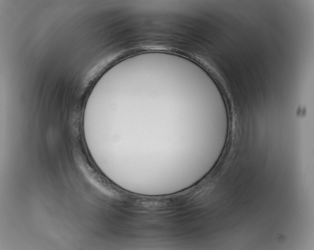 X0000114140533200910081028