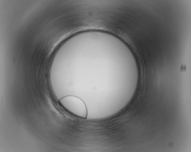 X0000114140534200910081028