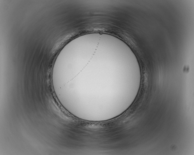 X0000114140537200910081028