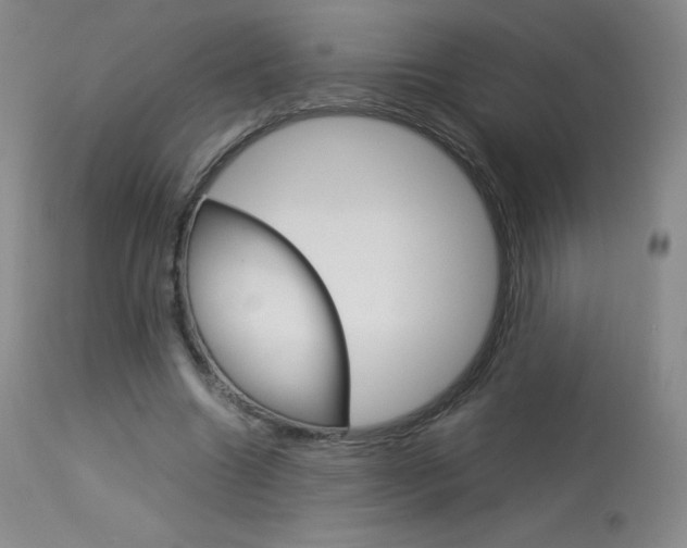 X0000114140538200910081028