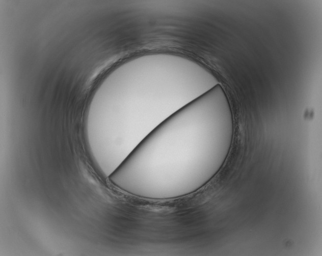 X0000114140539200910081028