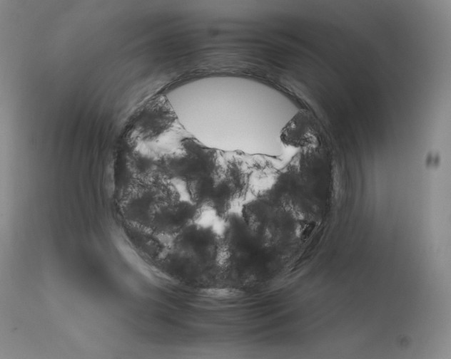 X0000114140541200910081028